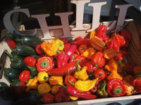 Ppepperschili Szentendre